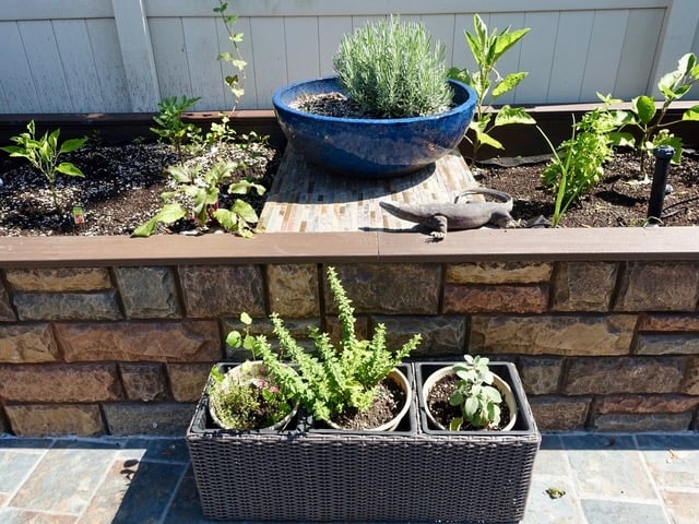 Close-up view of raised garden bed covered with rock style polyurethane panels.