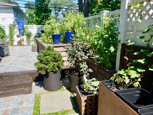 Long Island home garden with raised flower beds.
